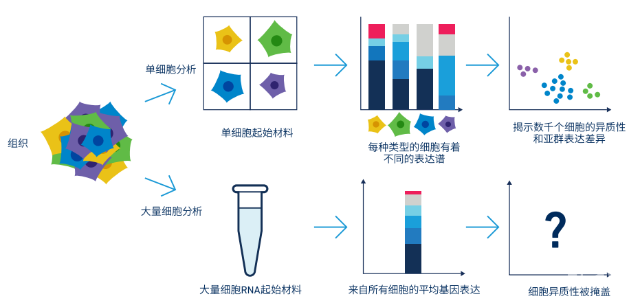 单细胞测序和传统测序的区别.png